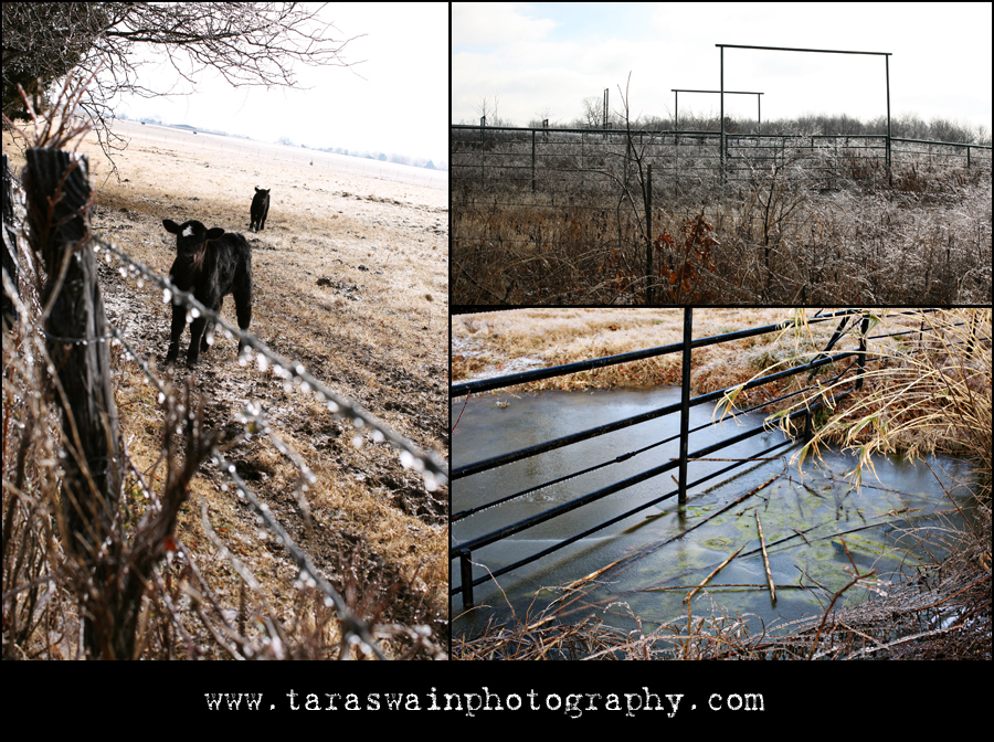 blog6 blog6