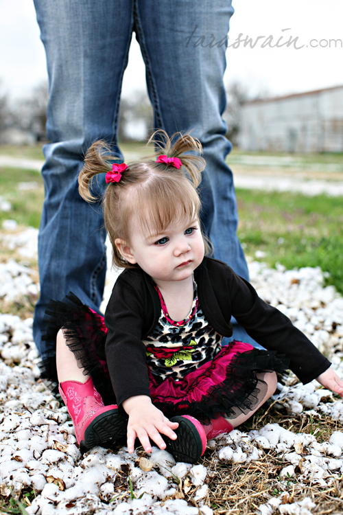 taylor_16 taylor_16