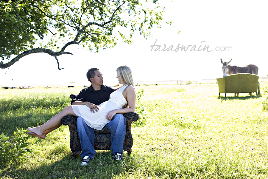 brookesblog_02