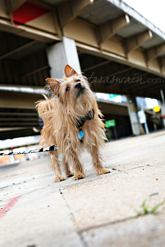 img_040 img_040