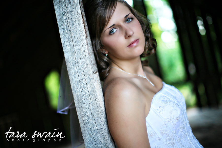 shannon_28