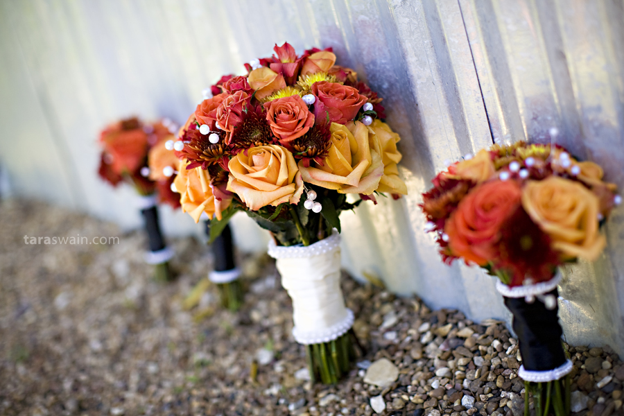 daniwed_02