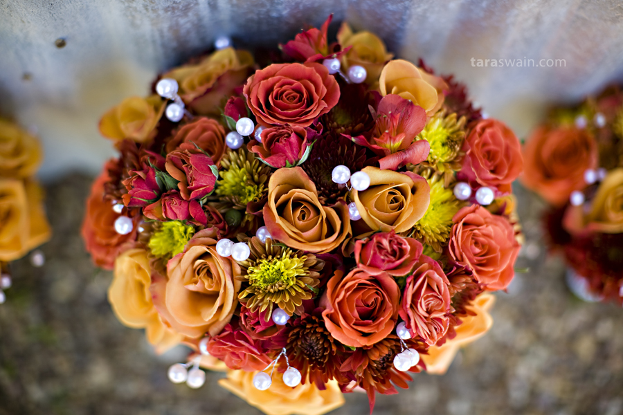 daniwed_03