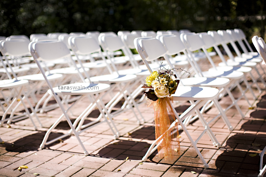 daniwed_04