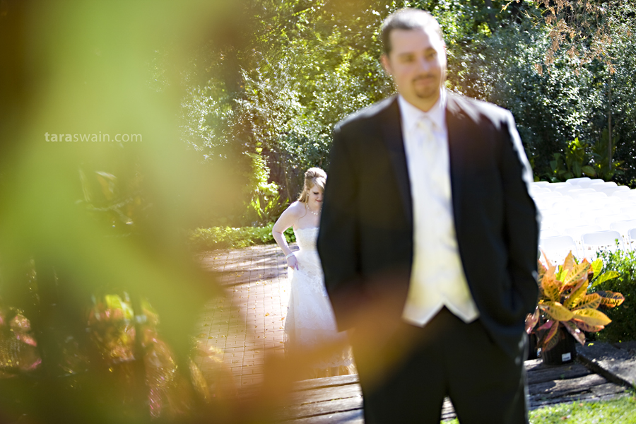 daniwed_11