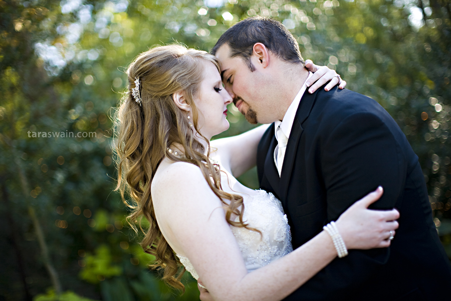 daniwed_22