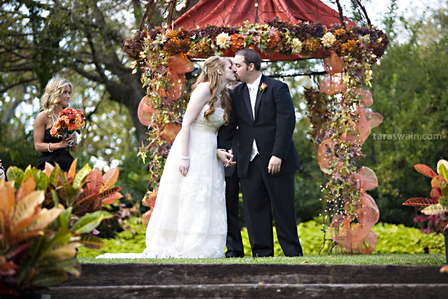 daniwed_31