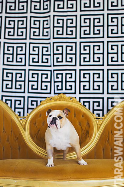 BLOG_21