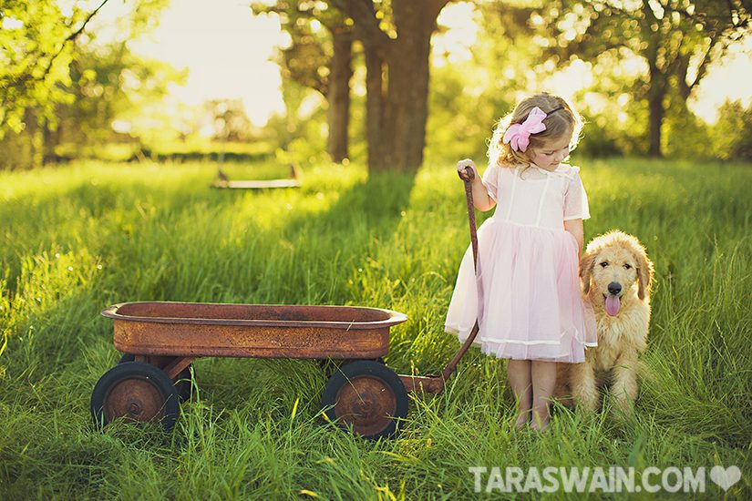 BLOG_15
