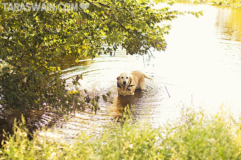 BLOG_05