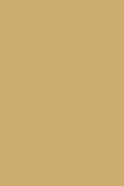HS7A1019